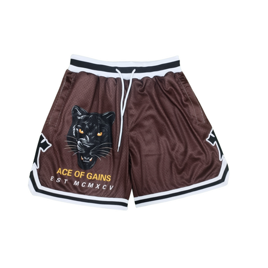 Infinitus Champ Shorts - Brown