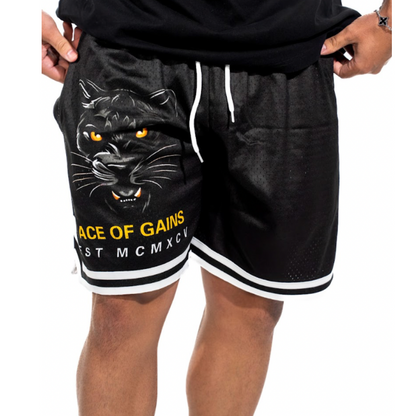 Infinitus Champ Shorts - Black